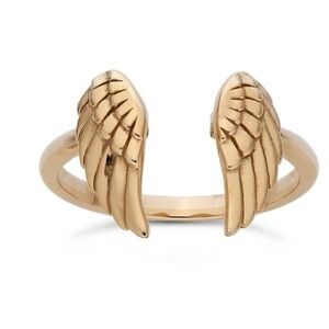 Intricate Bronze Feather Wing Ring